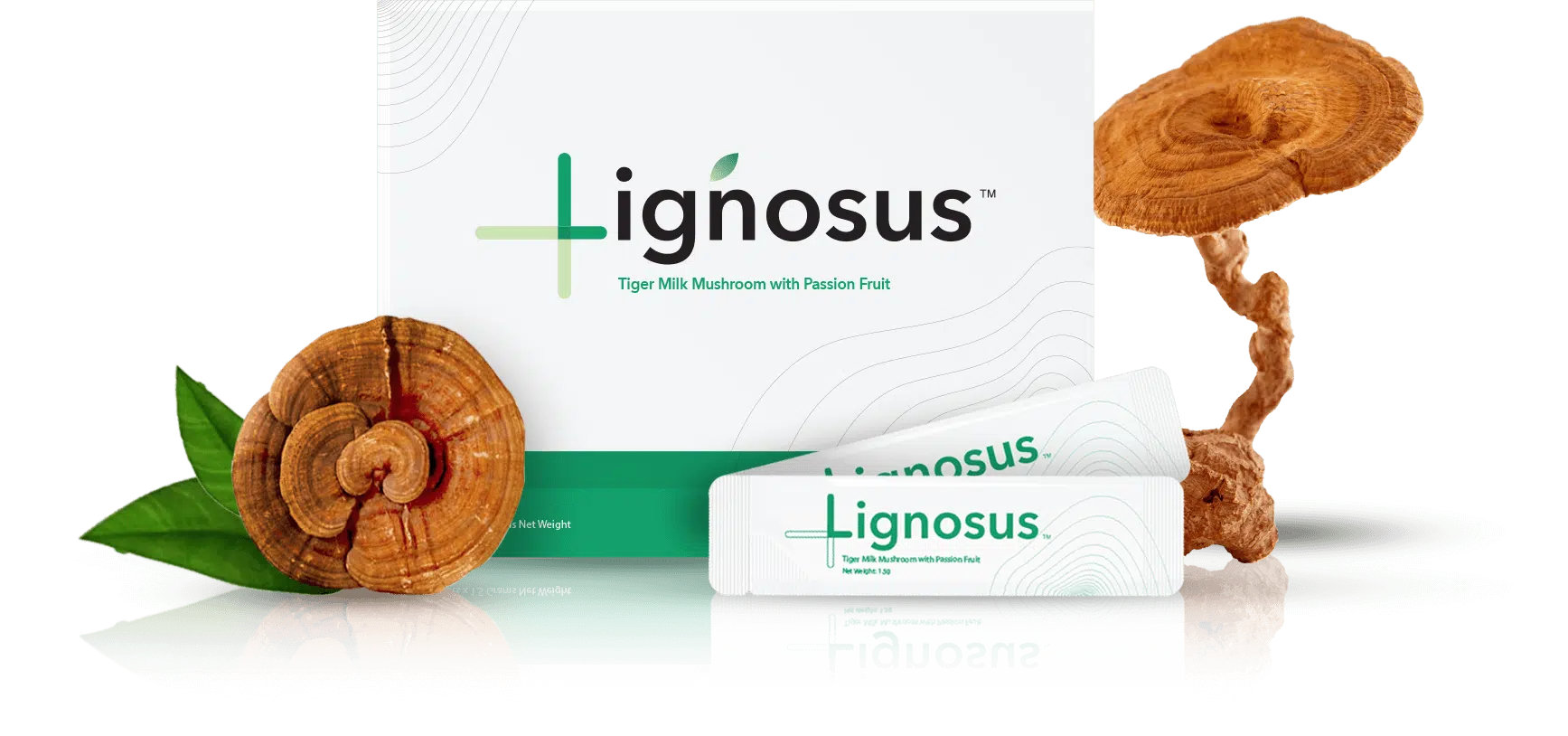 lignosus-product
