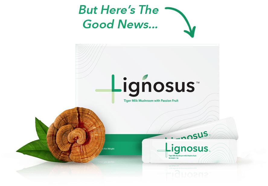 Lignosus United States - Cornerstone - Image008
