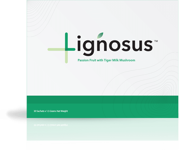 Lignosus United States - Cornerstone - Image011