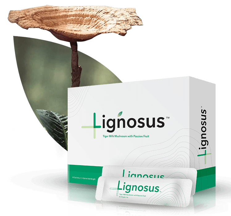 Lignosus United States - Funnel - Image015
