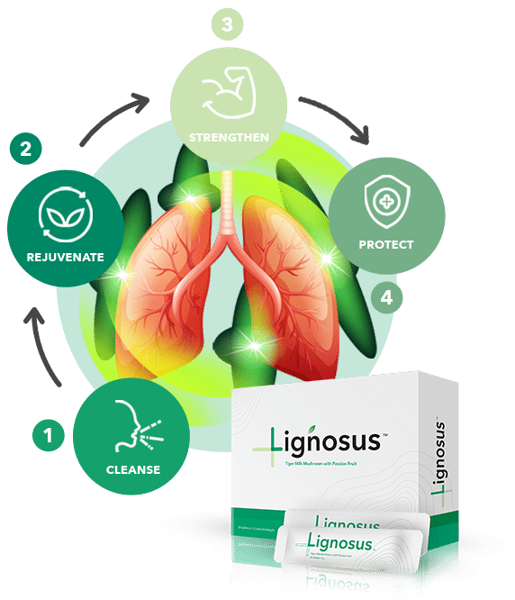 Lignosus United States - Funnel - icon antioxidant - 4Step Lung Care Mechanisms Image