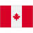 Lignosus United States - Flag - icon-ca