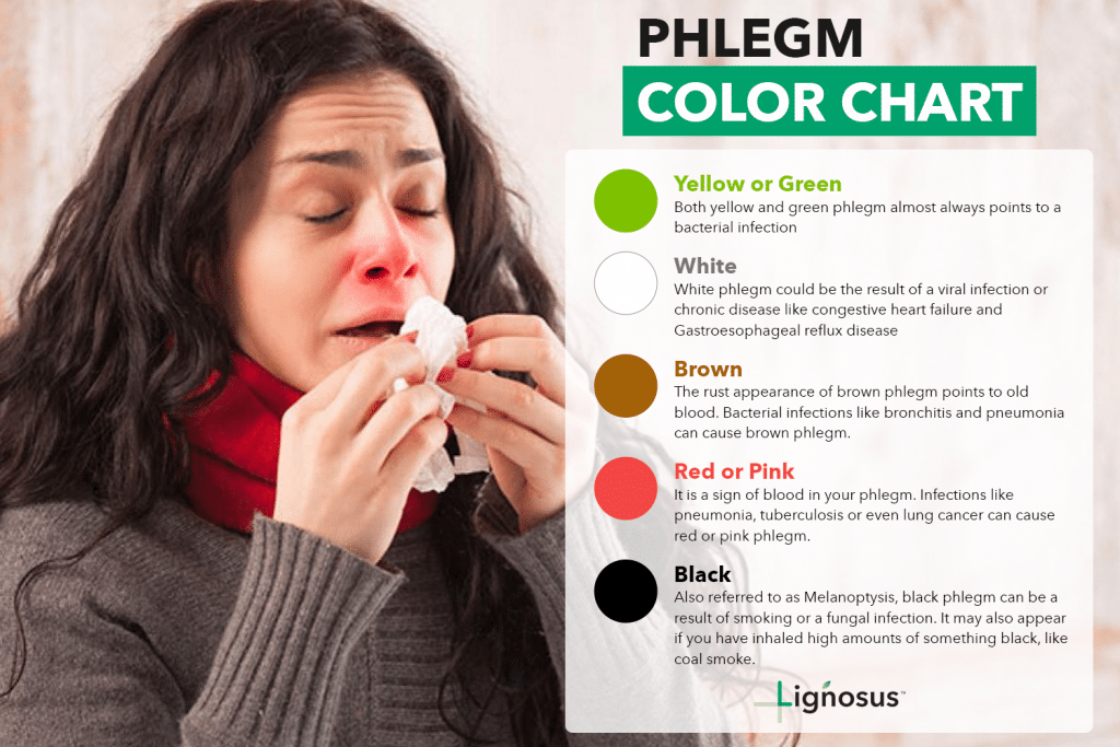 Green Phlegm: Is Bad News? | Lignosus