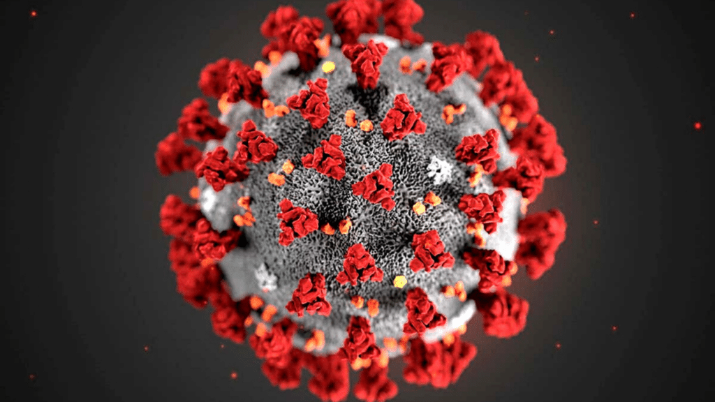 The Impact of the JN.1 Coronavirus Strain and the Potential Benefits of Lignosus