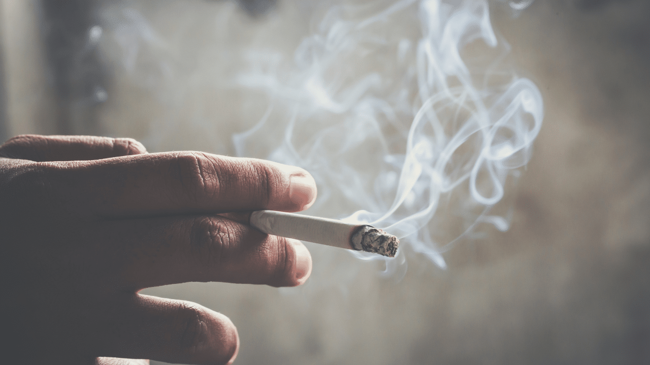 The Effects of Smoking on the Body and How Lignosus May Help Long-Term Smokers