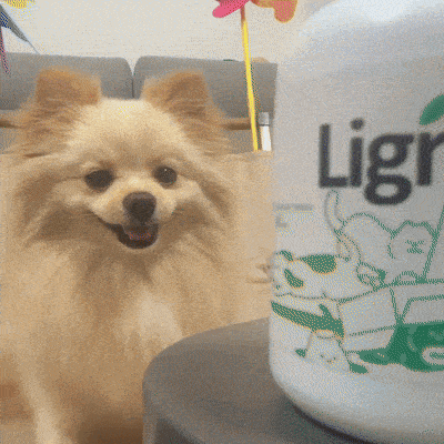 “My dog loves the taste and Keeps asking for more!”