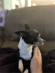 “Trustworthy brand for lung support!”